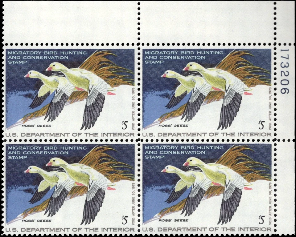 UNITED STATES 1977 Hunting Permit $5 Ross's Geese-Sc#RW44-Blk x4-MNH OG - Image 2 of 3