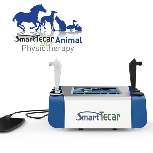 488 Khz Tecar Ret Cet Physical Equine Therapy Physiotherapy Animal Pain Relief - 第 5/15 張圖片