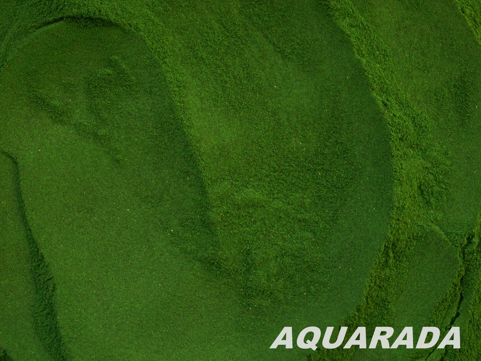 AQUARADA Reines Spirulina Pulver 25g Aufzuchtfutter Fischfutter Garnelenfutter Aquarium