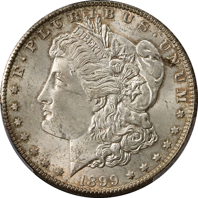 MS 63 Graded 1899 Year Morgan US Dollars (1878-1921) for sale | eBay