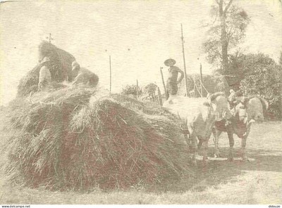 Postcard - postcard reproduction - peasants - loading of the Paill Cart