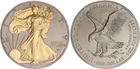 USA 1 Dollar 2023 Liberty Golden Enigma Edition 1oz Silver BU 137944