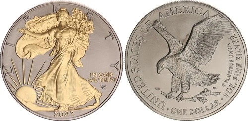 USA 1 Dollar 2023 Liberty Golden Enigma Edition 1oz Silver BU 137944