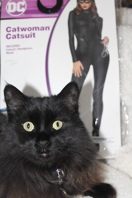 ladies cat fancy dress Spirit Halloween - Cat Lady Costume