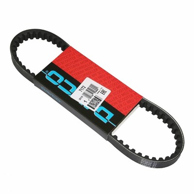 Cinghia Cilindrica Adattabile Per Peugeot 103 SP-MVL - P2R, Misure 865 X 11.5 X 8.4 Mm - 2