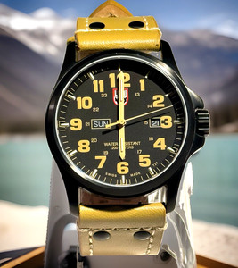 Luminox Atacama 1920 | eBay
