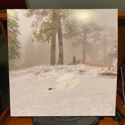 Wisp - Pandora (MILKY CLEAR VINYL) - ALT/INDIE *SEALED/CLEAR* | eBay