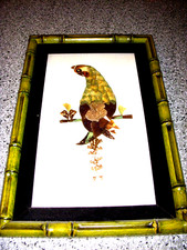 Real Butterfly Wing Art - Gorgeous Parrot Picture - 19X12 inch Framed & Matted