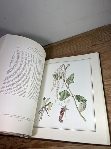 An Irish Florilegium Hardcover Wendy Walsh - 第 14/21 張圖片