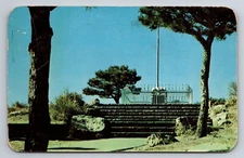 Postcard Buffalo Bill's Grove Denver Mountain Parks Colorado 