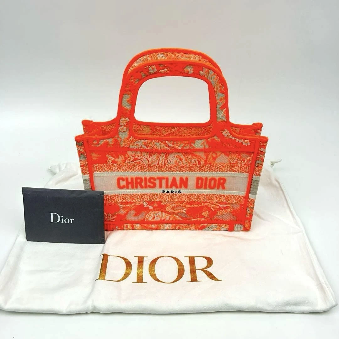Rare mini sac fourre tout livre chrétien Dior couleur