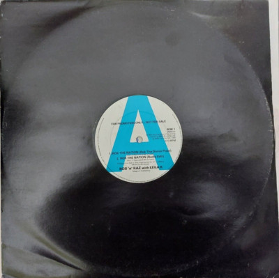 Rob 'N' Raz With Leila K - Rok The Nation (12'', Promo) In very good condition .