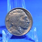 1925 P Buffalo Nickel AU FULL HORN