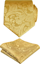 Mens Paisley Tie Handkerchief Casual Floral Necktie Set
