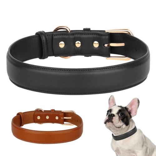 Plain Genuine Leather Dog Collar Heavy Duty Metal Buckle for Medium Large Dogs - Picture 1 of 21