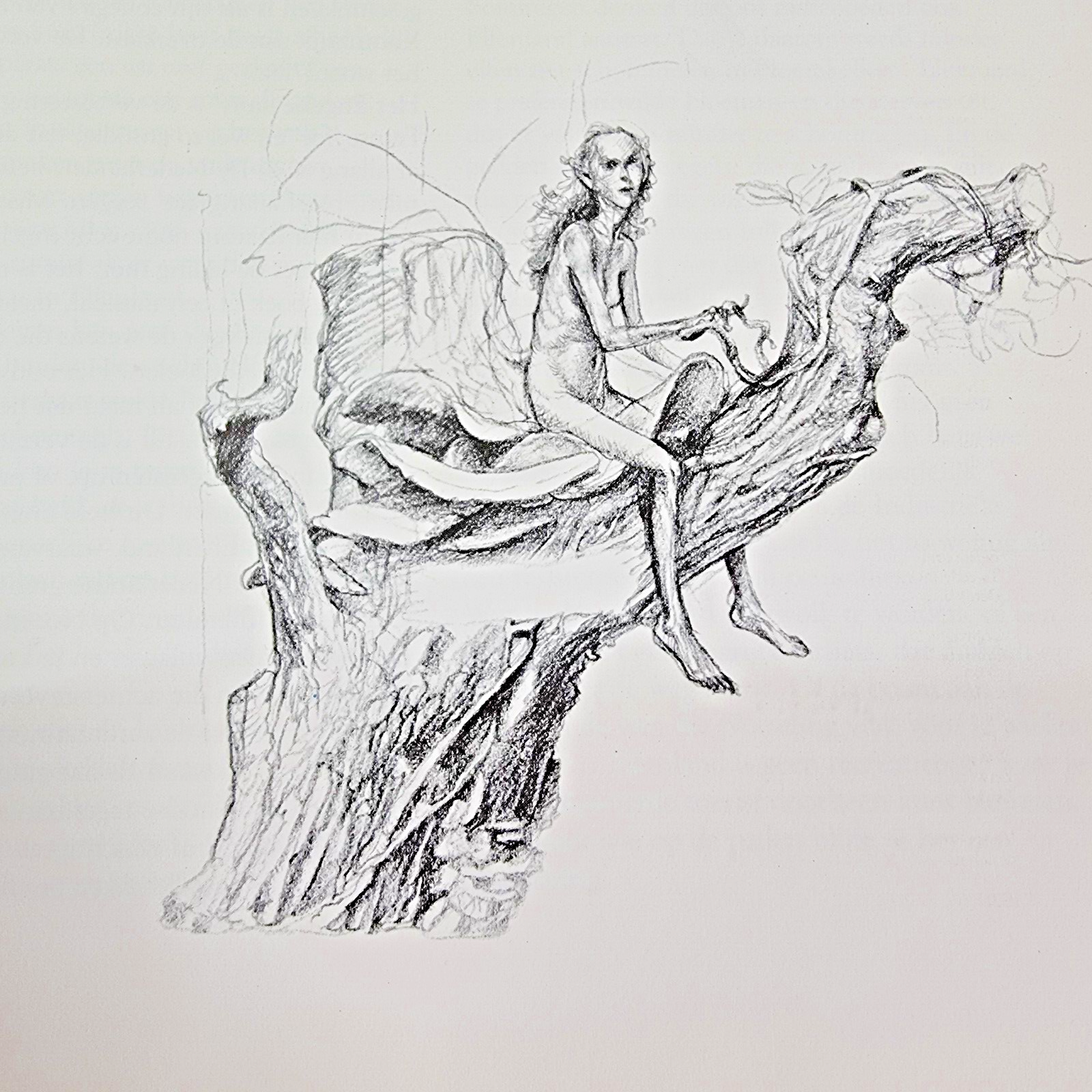 Picture 4 of 9