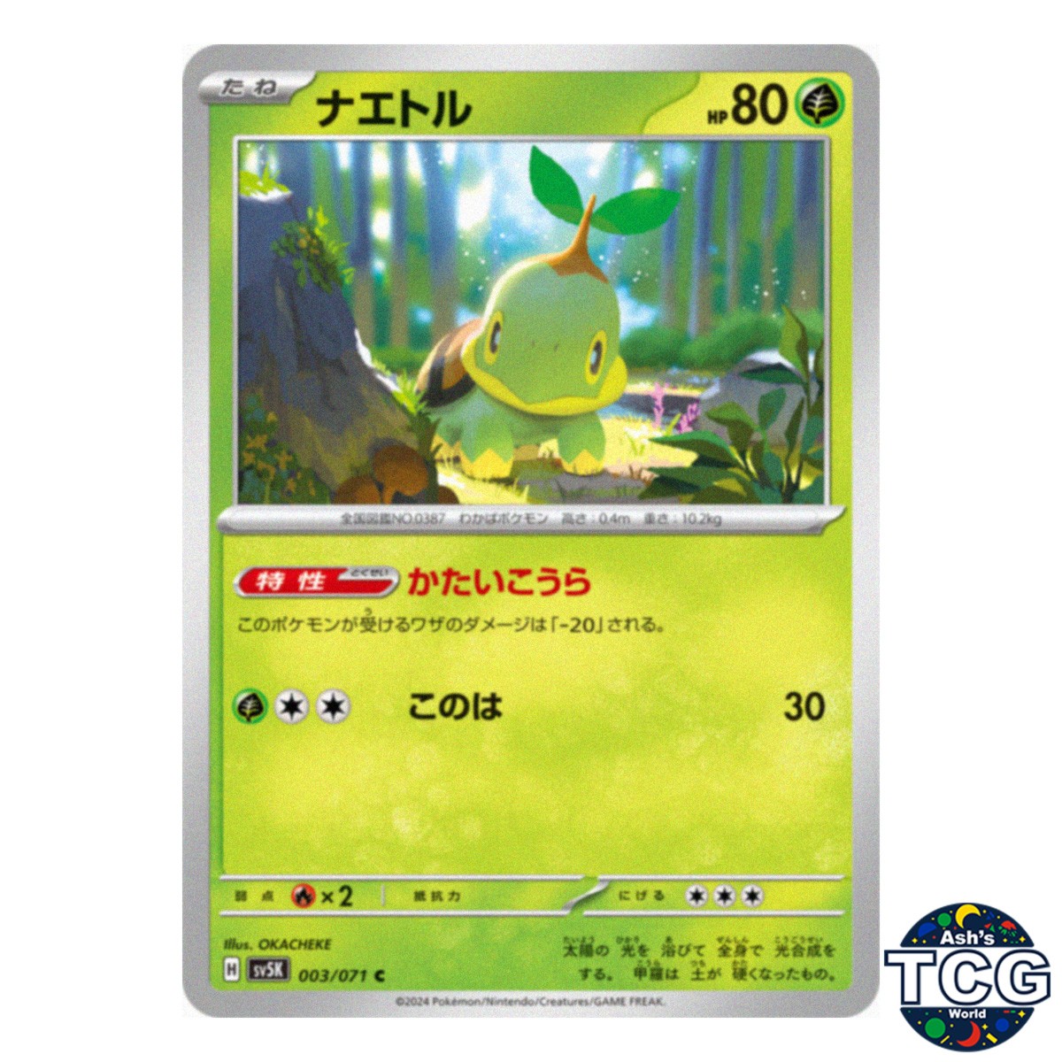 Turtwig C 003/071 SV5K Wild Force Pokemon Card Japanese