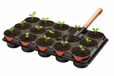 15 Pot Seed Starter Tray Shuttle with 10.5cm Pots Propagator Garden Growing