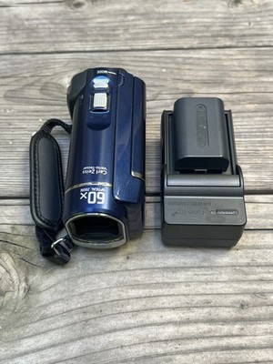 Sony DCR-SX40 Handycam Digital Video Camera Camcorder 60x Zoom -TESTED