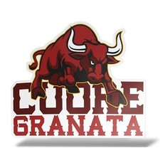 Sticker TORINO CUORE GRANATA Adesivo Parete Decal Laptop Murale Vinile Bandiera