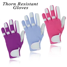 Ladies Leather Gardening Gloves Thorn Resistant Proof Garden work gloves Summer