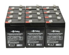 Raion Power 6V 4.5Ah Battery For Power Kingdom PS5L-6 - 12 Pack