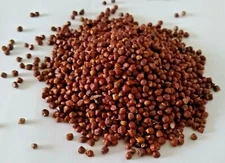 GRAINS OF PARADISE ALLIGATOR PEPPER WHOLE CONGO 1 OZ - 32 OZ RECLOSABLE BAG