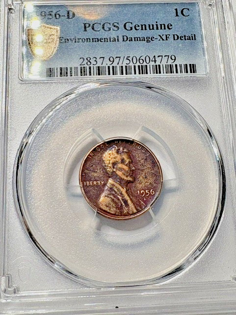 1956 D Lincoln Penny, XF Detail, BEAUTIFUL TONE ( Red-Burgandy) ,Enviromental 