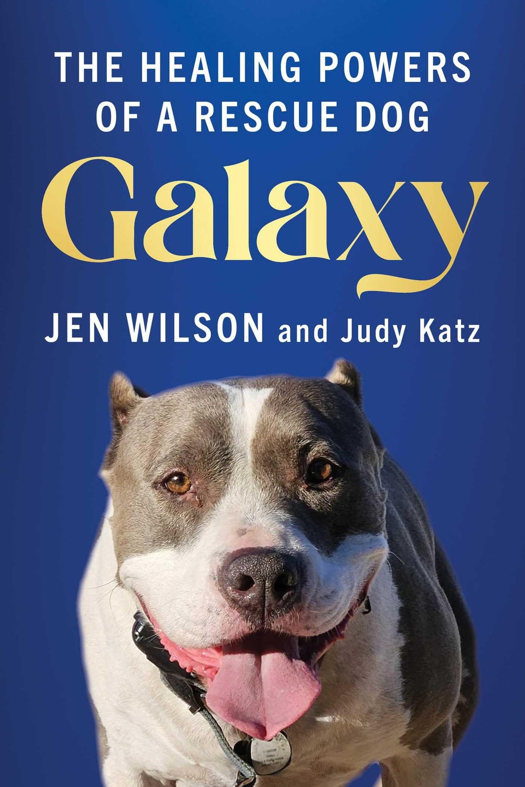 Galaxy The Healing Powers of a Rescue Dog by Jen Wilson (Paperback Book) - Image 4