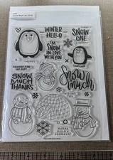 Simon Says Stamp Snow Much Stamp Set  with Twirling Ice Skater Die