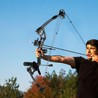Compound Bow Recurve Bow w/ 12x Arrows Set Right Hand for Adult Hunting Training
