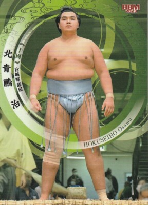 2023 HOKUSEIHO 北青鵬 #53 BBM 
