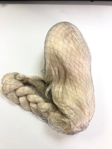 Halloween Elsa Queen Peluca Rubia Congelada Tejido Trenza Mujeres Niñas Pelucas con disfraces - Imagen 4 de 11