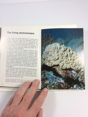 Underwater Guide to Tahiti Les editions du PacifiqueBagnis Christian - Picture 8 of 9