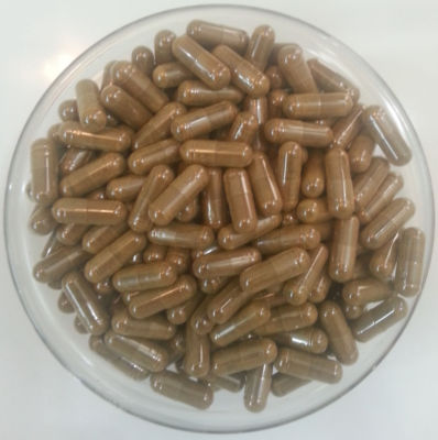 Andrographolide 20% HPLC High Quality Andrographis paniculata Extract Capsules