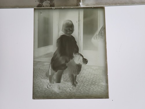3 circa 1899 CHILDERN WITH TOYS  4" X 5" GLASS PHOTO NEGATIVE PLATES - Picture 4 of 4
