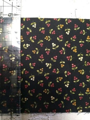 REMNANT Red Rooster Fabric Ella by Kathy Brown Teacher's Pet 5''x43''