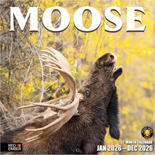 RED EMBER Moose 2026 Wall Calendar, 12-Month, Thick Paper, 12"x24" Open