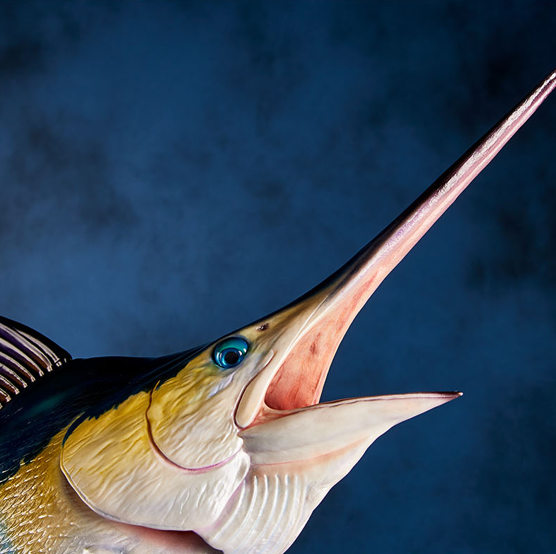 Kaiyodo NATURE TALES Blue Marlin Statue Model In Stock NEW | eBay