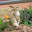 New ListingQm200681 Hopper the Bunny Standing Rabbit Indoor/Outdoor Garden Statue, 6 Inc.
