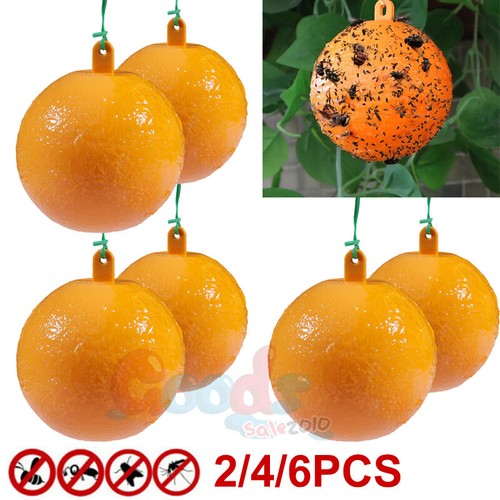 2/4/6 Pcs Sticky Fly Trap Balls Yellow Traps Fruit Flies Insect Glue Catcher - Picture 2 of 17
