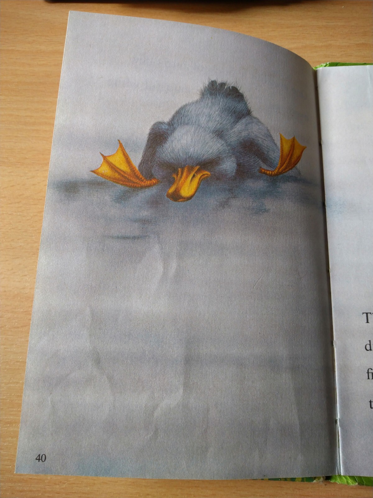 Bild 6 von 6