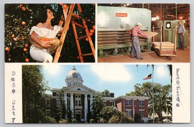 Dade City Florida Postcard Citrus Orange Grove Plywood Mill Courthouse Chrome