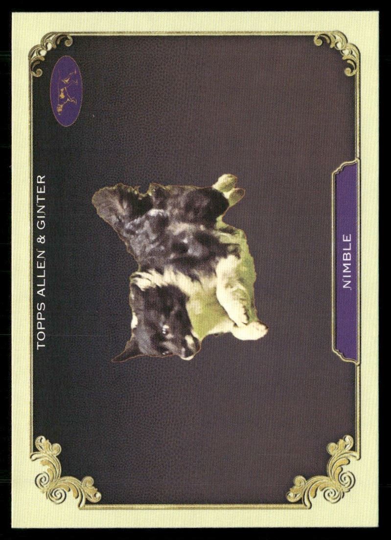 Nimble 2024 Topps Allen & Ginter Stars Of The Show Westminster Kennel Club