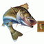 bigwalleye cards'n'more