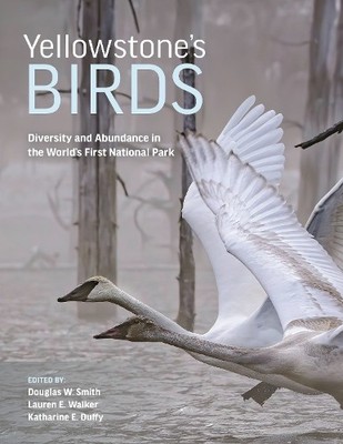 Douglas W. Smith Yellowstone s Birds (Gebundene Ausgabe) (US IMPORT)