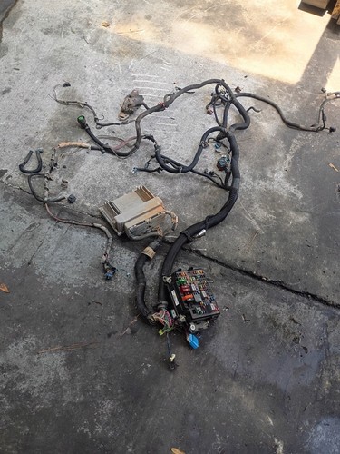 Gm 4.3 Complete Engine Harness/ecu/fuse Box
