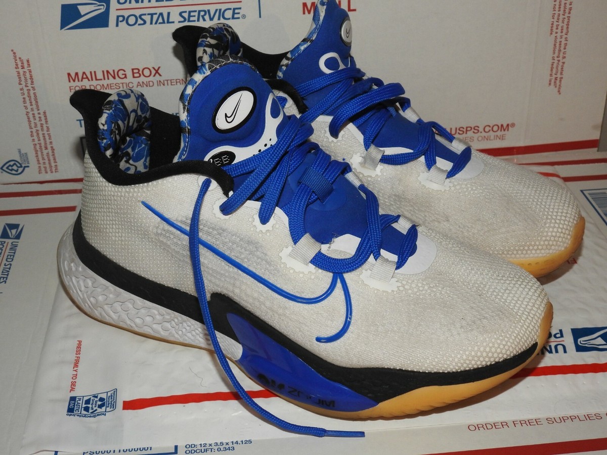 NIKE AIR ZOOM BB NXT SISTERHOOD Athletic Sneakers Basketball