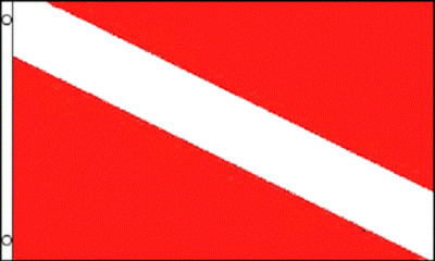 NEW 3x5ft DIVER DOWN SCUBA DIVING DIVE MARKER better quality FLAG usa seller