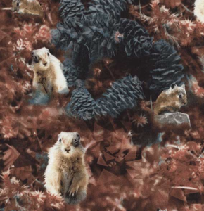 Timeless-Treasures-Wildflowers-Sienna-Forest-Critters-Cotton-fabric-by-the-yard